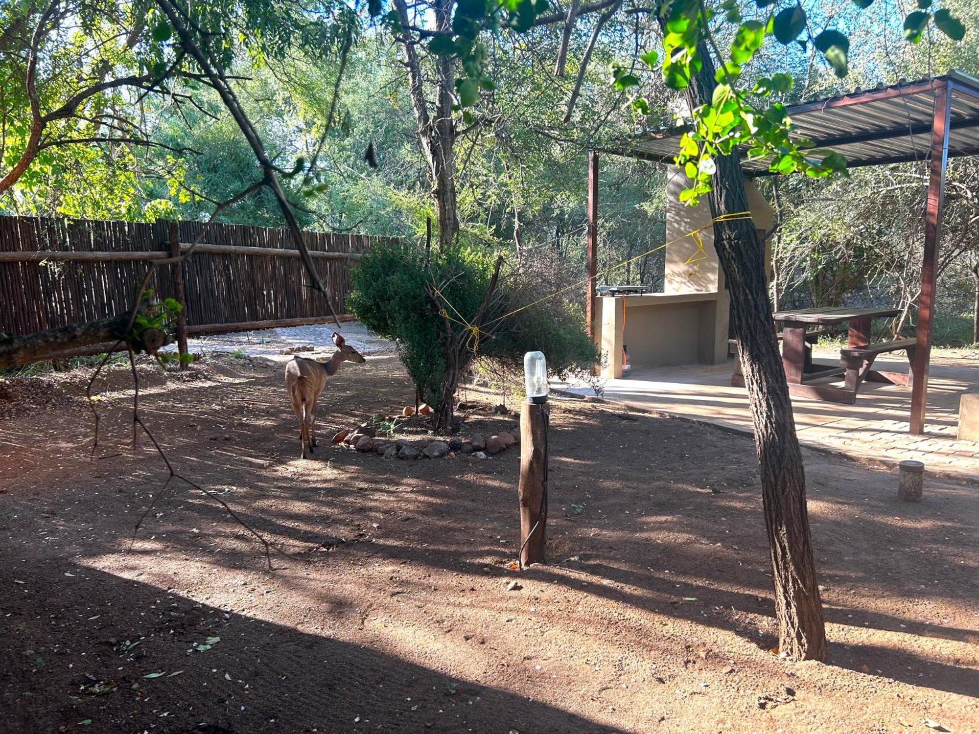 Athule Inn Marloth - Units Marloth Park Extérieur photo